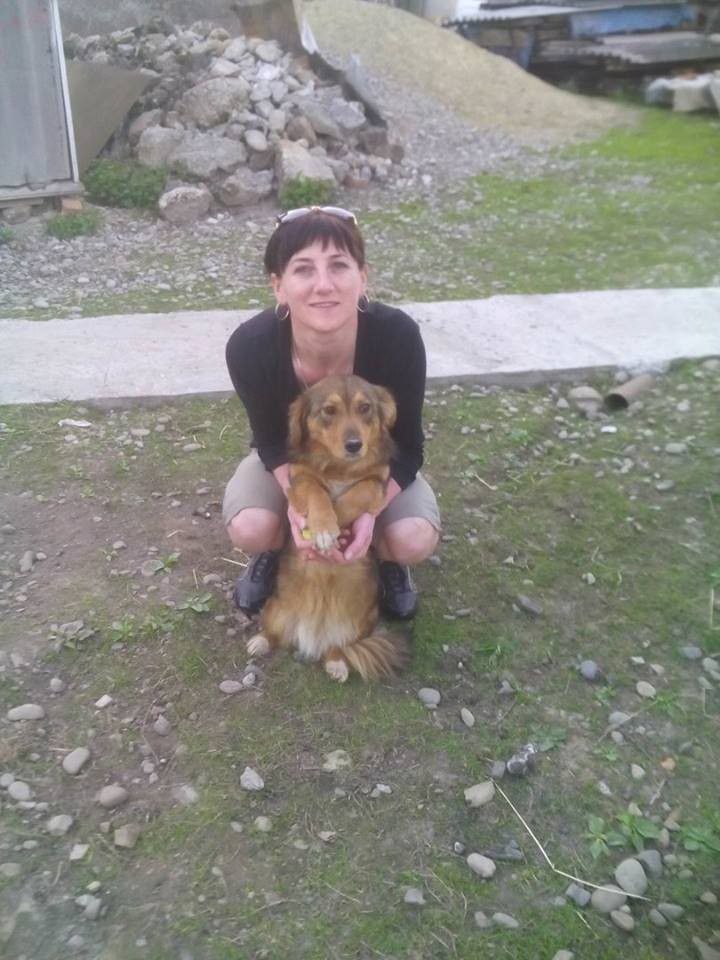Волонтери оприлюднили світлини щасливої собаки та її нової власниці | Фото: Дім Сірка м. Калуш