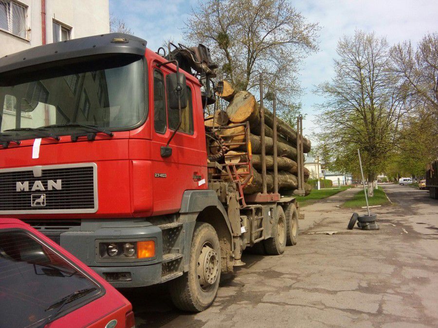 Вантажівки із кругляком дуба їхали через Калуш без повного пакету необхідних документів | Фото: Тетяна Кіндюх