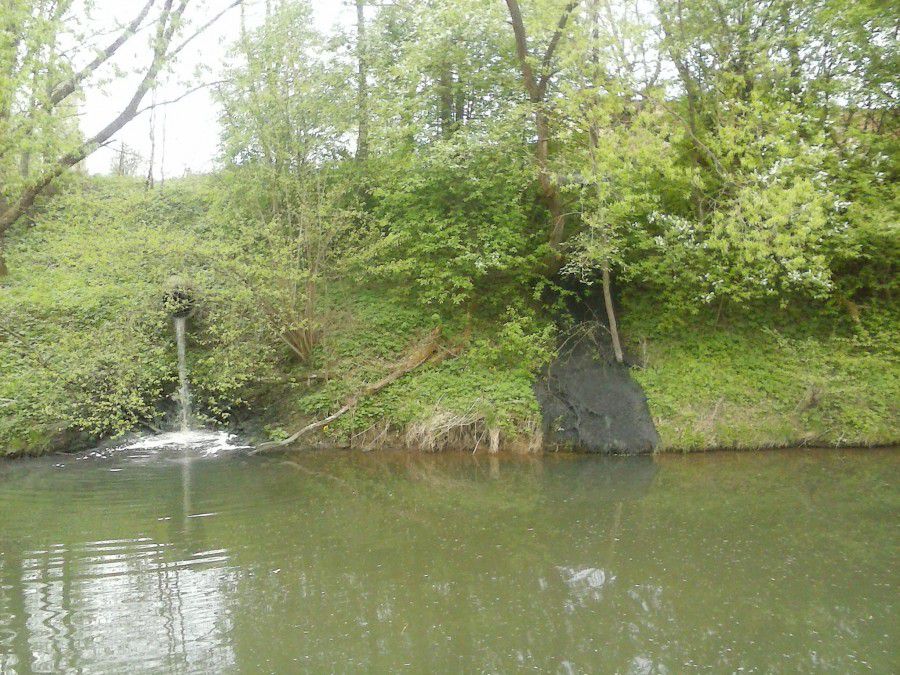 У Брошневі скидають нечистоти у Сівку | Фото: Іван Мазурик