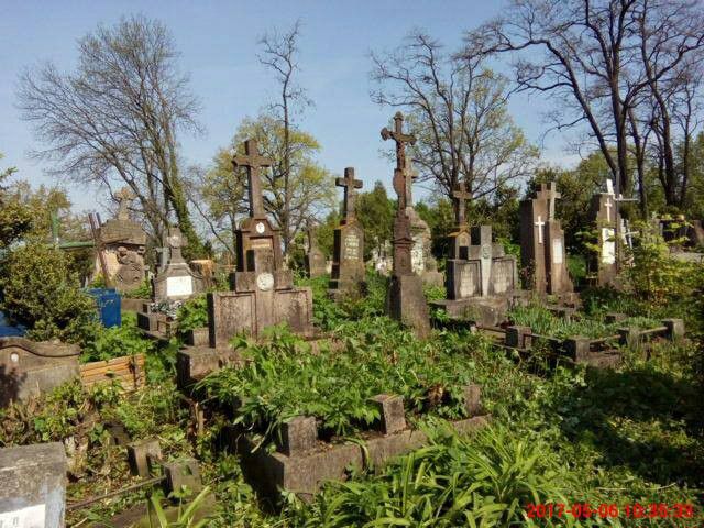Калушани окультурили кущі, прибрали сміття, пропололи траву | Фото: Олександр Коваль