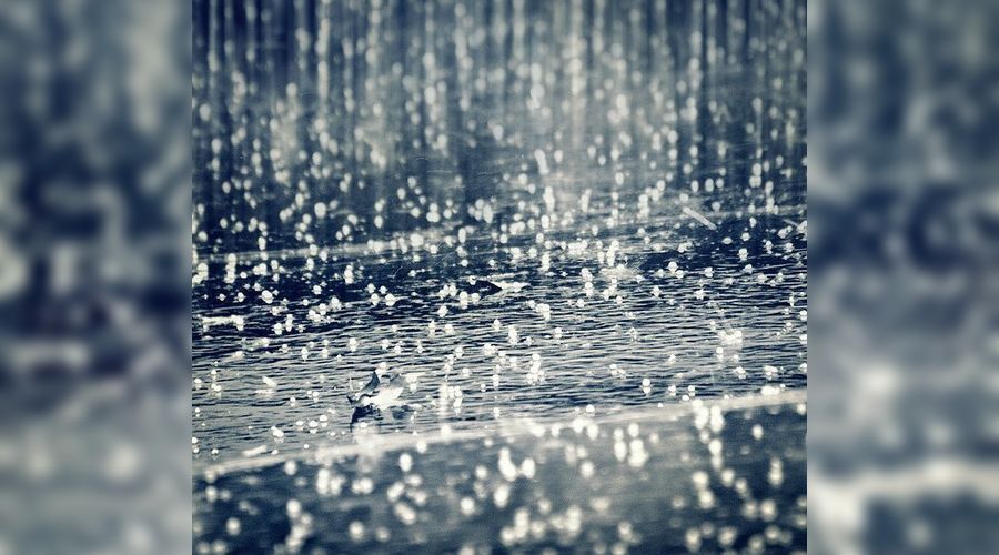 Також синоптики прогнозують шквалисте посилення вітру до 15-20 метрів за секунду