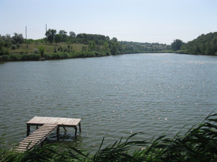 Ілюстрація. Тіло українки знайшли у ставку неподалік від дороги, вона була сильно побита