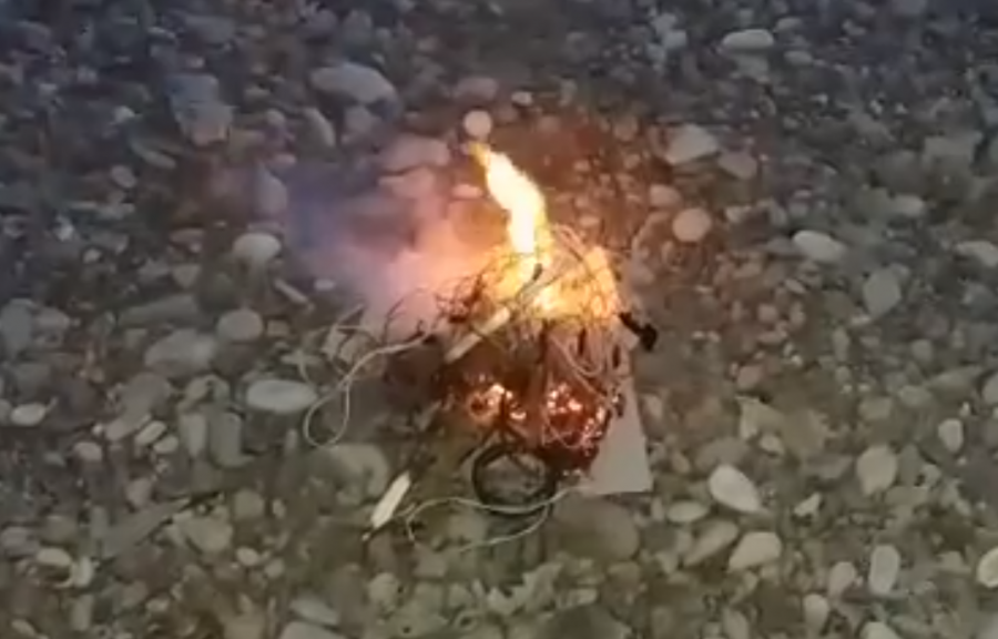 Сітку інпектори спалили, щоб нею більше ніхто не браконьєрив | Фото: скріншот з відео