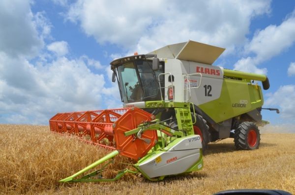 "Даноша" очікує гарний врожай з огляду на здоровий стан посівів