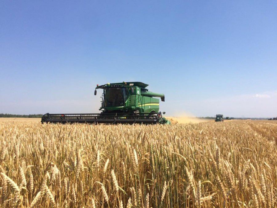 У компанії "Даноша" прогнозують хороший врожай зернових | Фото: Danosha/Facebook