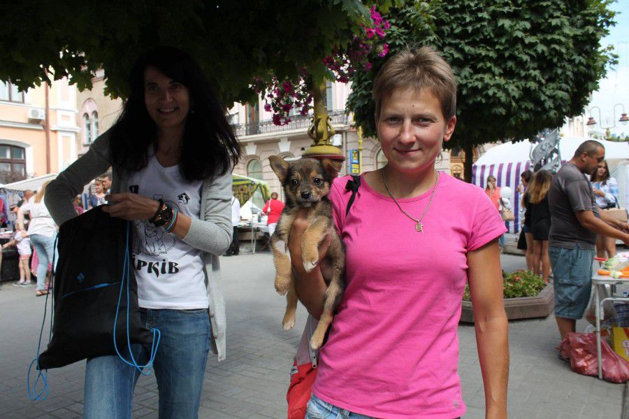 За словами Наталії Когут, викупити землю під притулком за 30 тисяч доларів організація самостійно не може