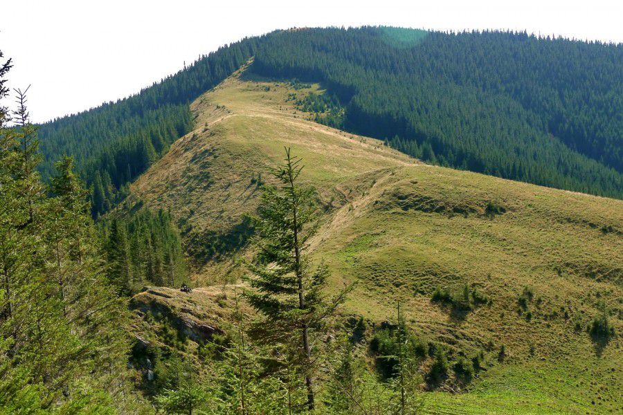 Ілюстрація. О 23.25 гірськими рятувальниками тіло загиблого знесли з Кострича та передали працівникам Національної поліц