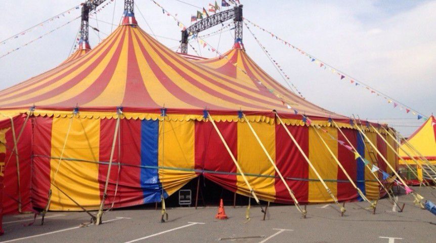 Ілюстрація. У Підгірках водій мандрівного цирку виїхав зі стадіону і поставив автобус впоперек "швидкій", каже