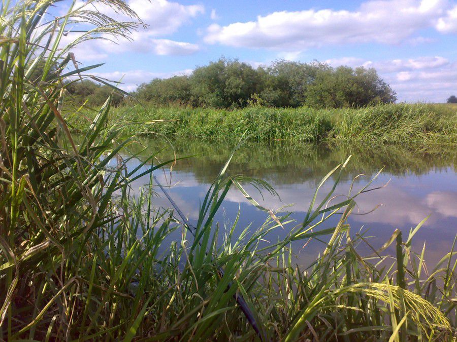 Ілюстрація. У Космачі за чистоту річок готові боротися