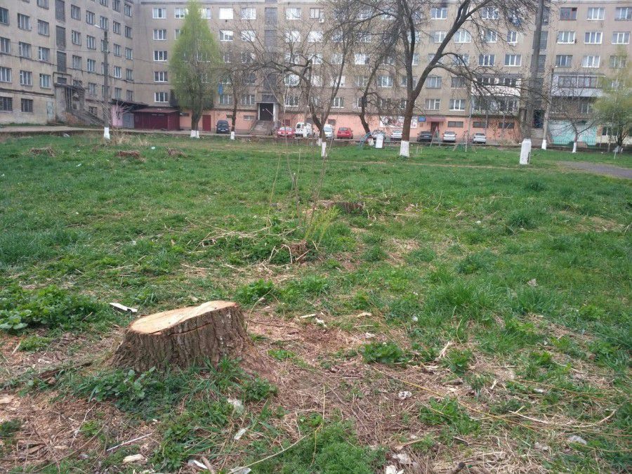 Навесні місце готували під церкву, під осінь &mdash; ситуація змінилася