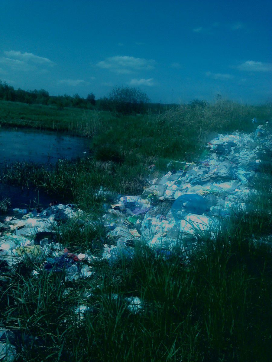 Світлина демонструє стан справ зі сміттям біля річки та озера | Фото: ecomapa.gov.ua