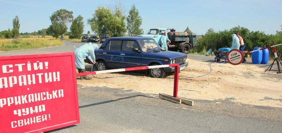 Ілюстрація. На території виявлення вірусу африканської чуми встановлена зона захисту в радіусі від 3 км до 10 км