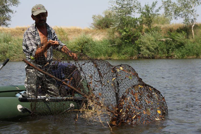 Ілюстрація. Крім штрафа, порушнику доведеться сплатити збитки у розмірі 25,5 грн за кожного незаконно виловленого рака