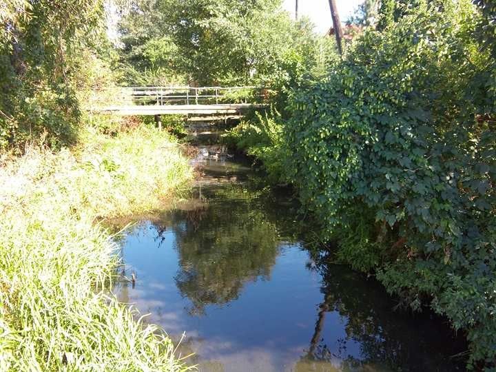 На Загір'ї було виявлено виведені труби, через які в річку потрапляють стоки від приватних домоволодінь