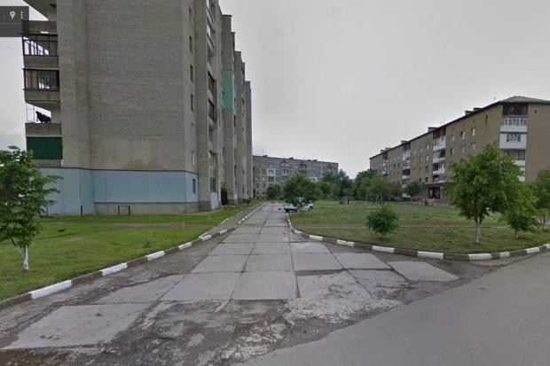 Всі молоді дерева вздовж дороги доведеться зрізати, щоб збудувати будинок