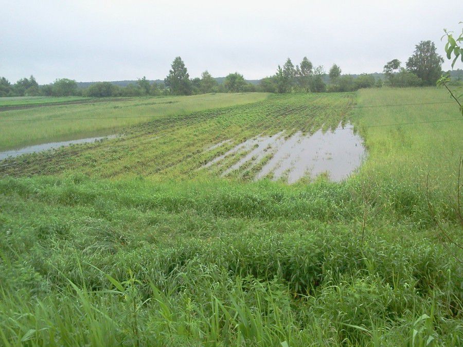 Ілюстрація. Частина меліоративних земель у Калуші знаходиться у незадовільному стані