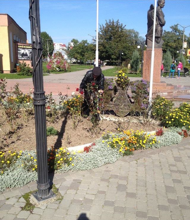 Щоб висмикнути троянду, калушанин заліз на клумбу