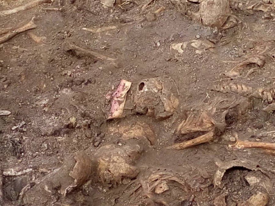 Серед убитих: священник, селяни, інтелігенція та молодь.
