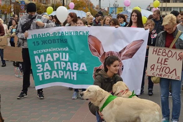 На початку жовтня у більшості розвинених країн відзначають Всесвітній день тварин, спрямований на привернення уваги людс
