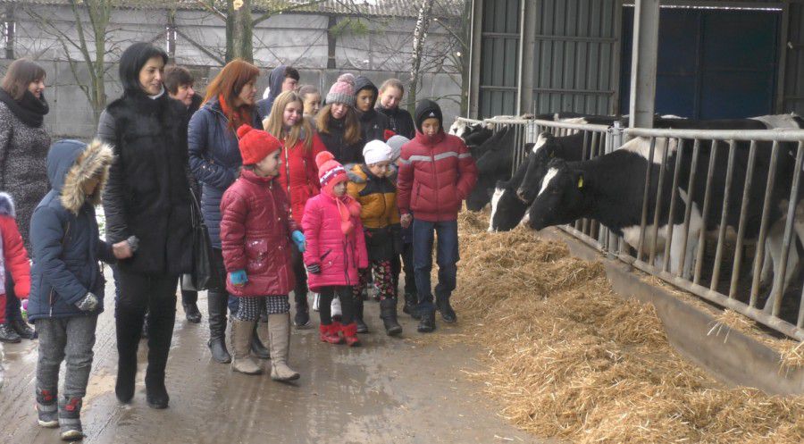Для 17-ти учасників екскурсії поїздка видалася досить пізнавальною. Для наймолодших така кількість корів була просто вра