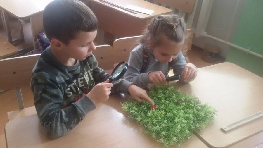 Діти в рамках пілотного проекту навчаються за особливою методикою, зокрема, немає традиційного поділу на уроки з окремих