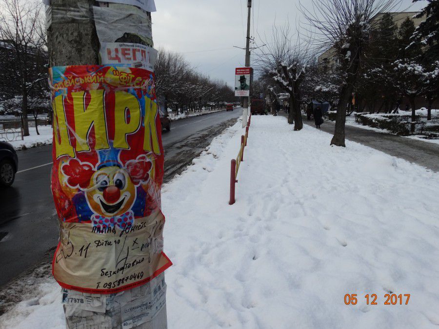 Цирк поїхав із міста близько двох тижнів тому, але їхні афіша надійно тримаються стовпів та дерев | Фото: kalushcity.if.