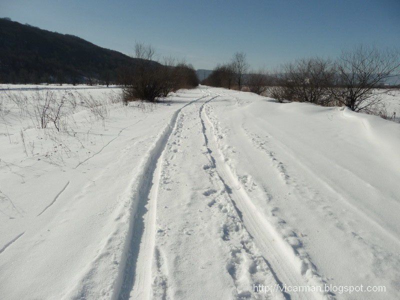 Ілюстрація. У перспективі максимально можливу ділянку під садівництво учасники АТО зможуть отримати у Старому Угринові
