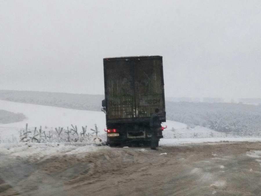 Ілюстрація. Водій самостійно не міг виїхати, адже вантажівка завантажена поголів&rsquo;ям свиней