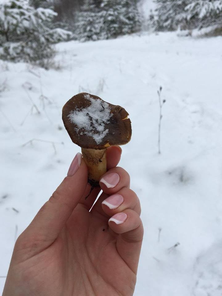 Домбровський кар'єр не перестає дивувати і взимку