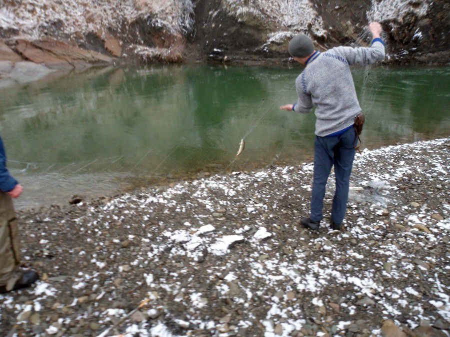 Патруль затримав порушника на річці Прут та зупинив продаж 6 сіток на ринку