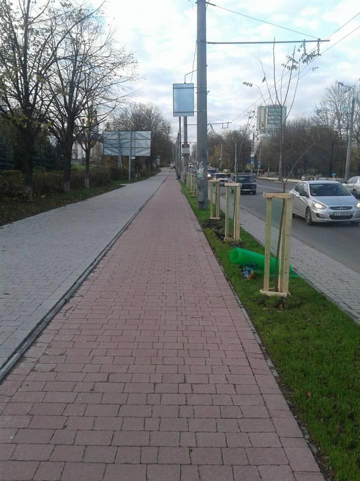 Ілюстрація. В Івано-Франківську посадять 670 дерев