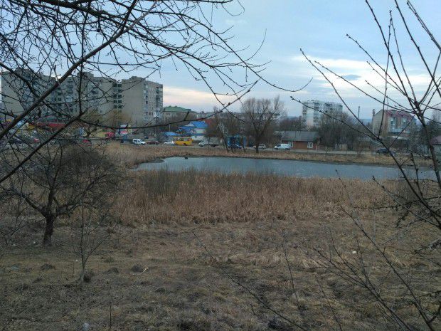 Озеро живлять джерела і тому рівень води у ньому не падає навіть у посуху