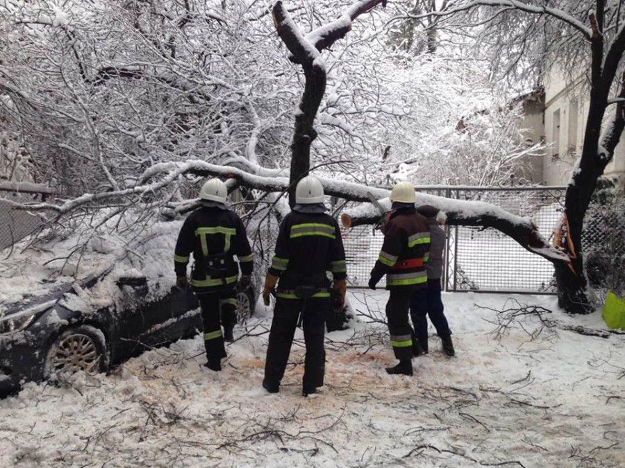 Через негоду Volkswagen Passat потрапив у кювет