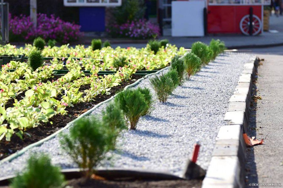 Суб&rsquo;єкти господарювання запрошують брати участь в даному тендері і робити наше місто зеленим та квітучим.