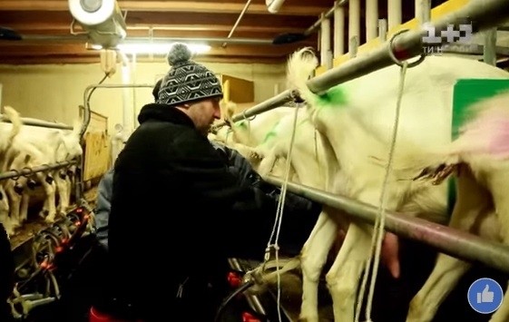 В Австрії Василю Стефураку вдалося  познайомитися з радником Міністра аграрної політики Австрії та досвідченими бізнесме