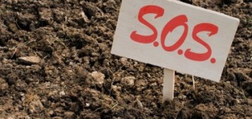 Ілюстрація. Термін сплати завданих збитків &ndash; місяць його підписання угоди, яку надішле міська влада