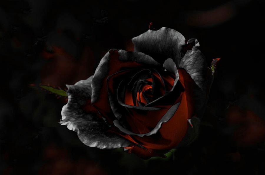 Ілюстрація. У Калуші ще якось пристосуються, а що говорити про, скажімо, Косівський, Верховинський та інші віддалені рай