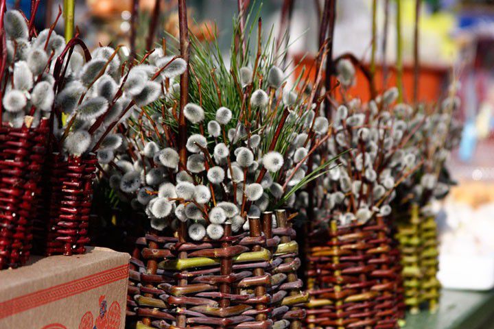 Ілюстрація. На благодійній ярмарці можна буде придбати Вербові галузки та вироби молоді з обмеженими можливостями