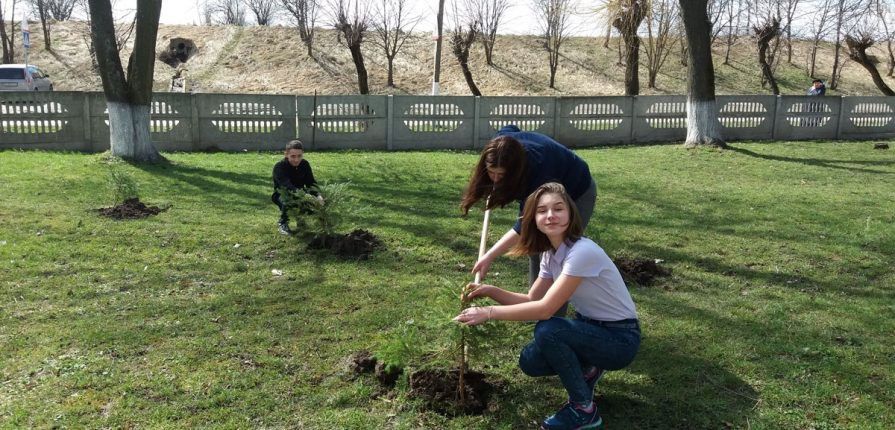  Школярі та вчителі долучились до озеленення пришкільної території