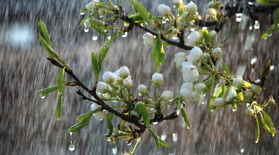 Ілюстрація. Місцями може пройти не лише дощ, а і град