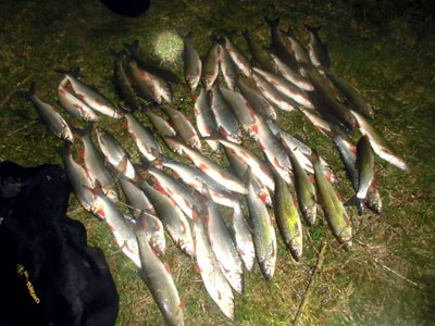 Держрибінспектори провели рибоохоронні рейди на малих річках Івано-Франківської області
