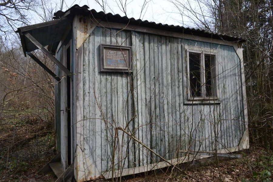 Унікальну знахідку виявили серед лісу