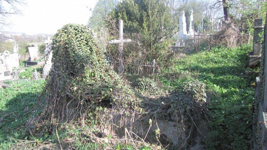 Краєзнавцям вдалося відчистити від плюща  надгробок Каземира та ще одне польське поховання 27 річної Emilia Konig