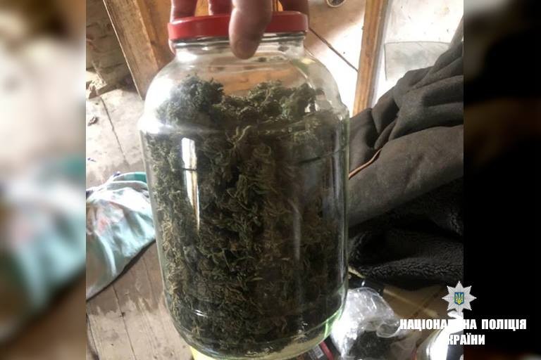 Під час обшуку помешкання підозрюваного у вирощуванні конопель мешканця Івано-Франківська правоохоронці вилучили наркоти