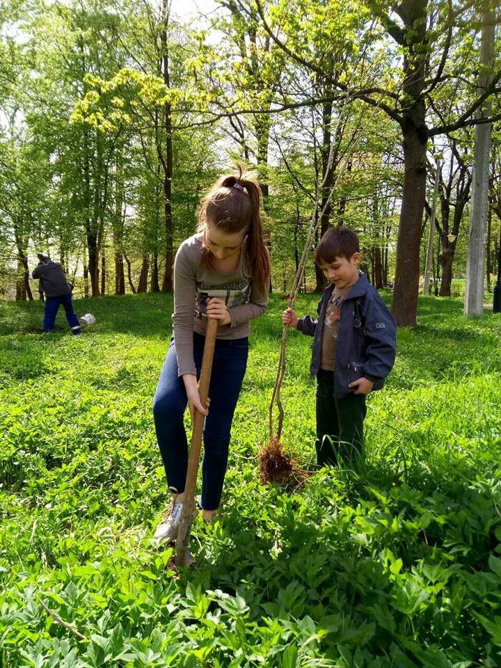 Дуби естетично красиві, виконують важливу грунтоскріплюючу функцію | Фото: Наталія Романів