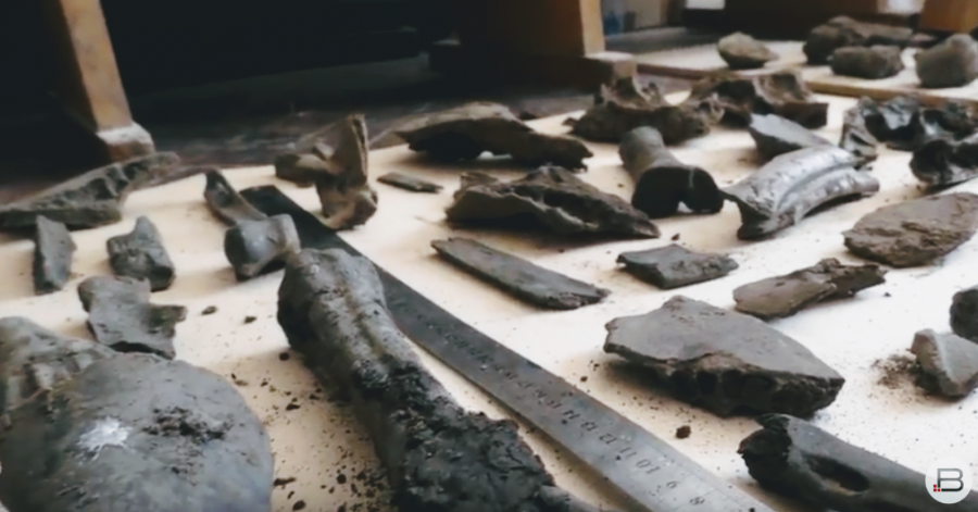 Скоріш за все, на площі Героїв знайшли рештки домашніх тварин, найімовірніше, свині та корови