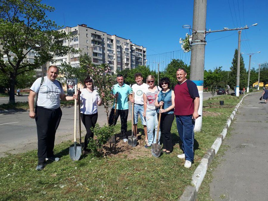 Активісти та комунальники за два тижні висадили у Калуші дуби, клени, горіхи і сакури