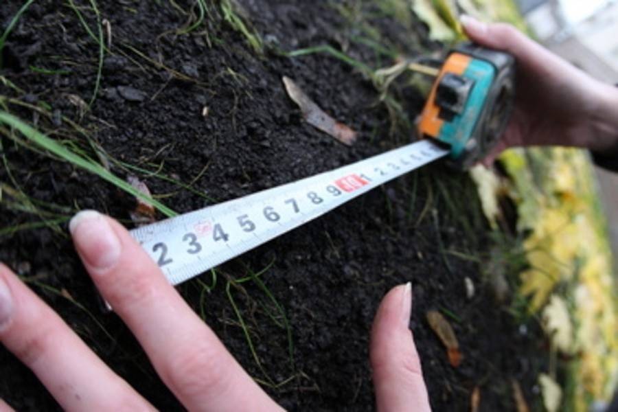 Ілюстрація. На Прикарпатті прокуратура повернула у власність держави ще 22 га землі