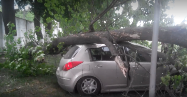 Власник автомобіля відмовився від вивільнення автомобіля, оскільки очікує приїзду представника страхової компанії