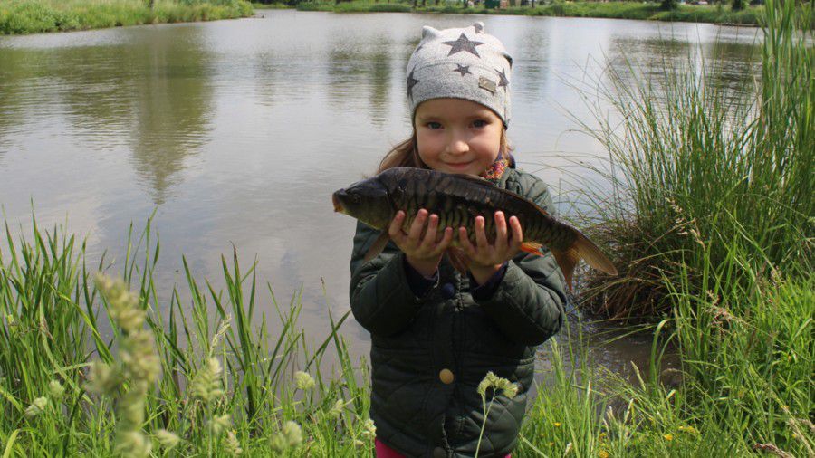 У &laquo;танкове&raquo; озеро на Прикарпатті випустили 80 кг дзеркального та голого коропа 